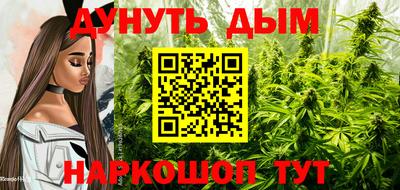 бошки Будённовск